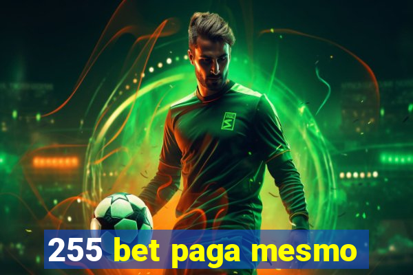 255 bet paga mesmo